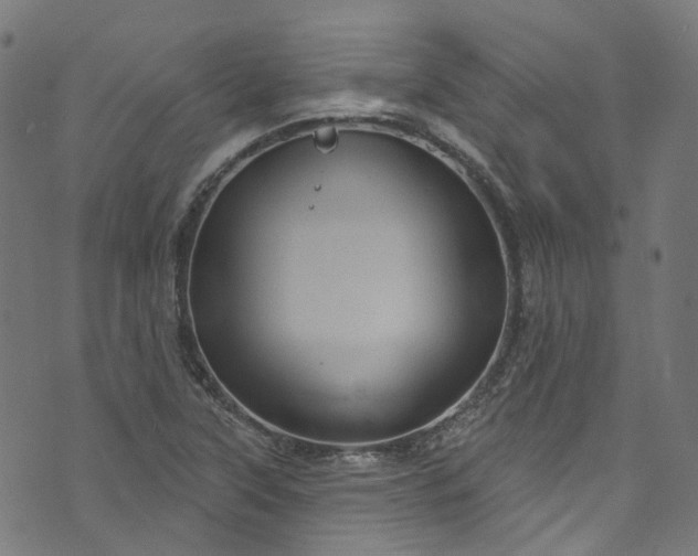 X0000073731315200608171219