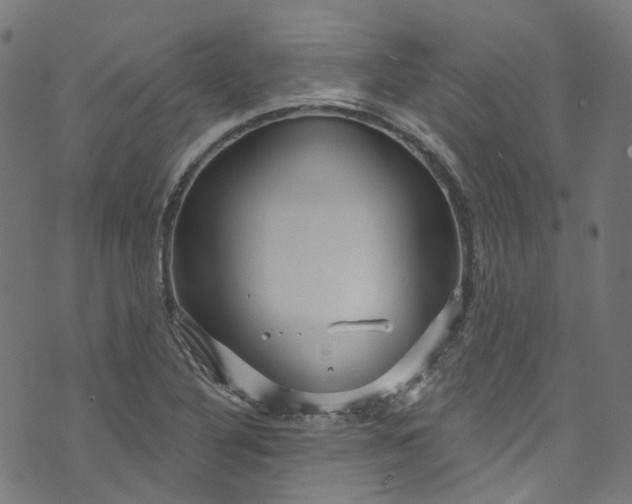 X0000073731316200608171219