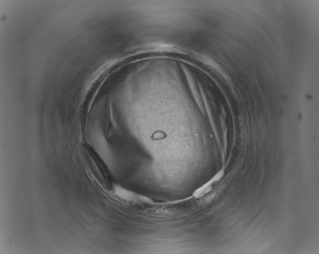 X0000073731318200608171219