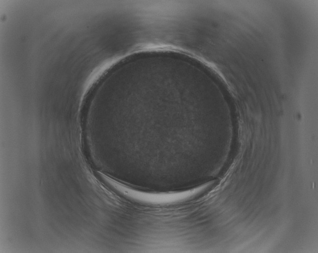 X0000073731319200608171219