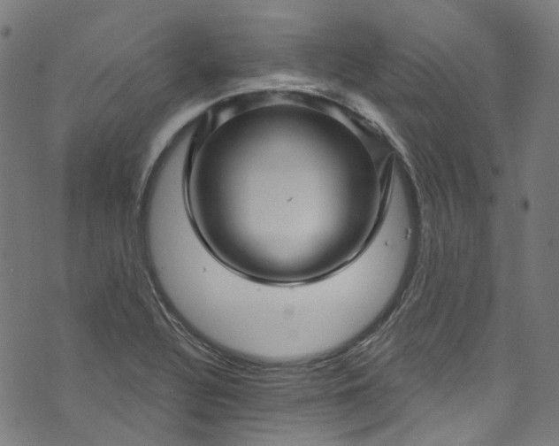 X0000073731320200608171219