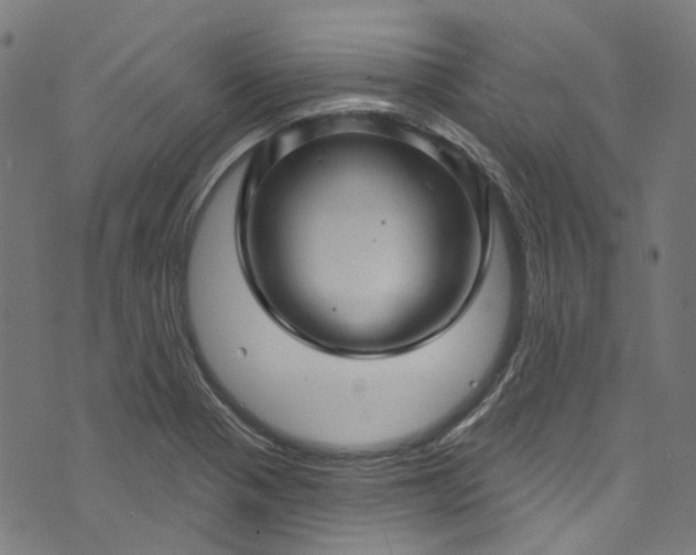 X0000073731321200608171219