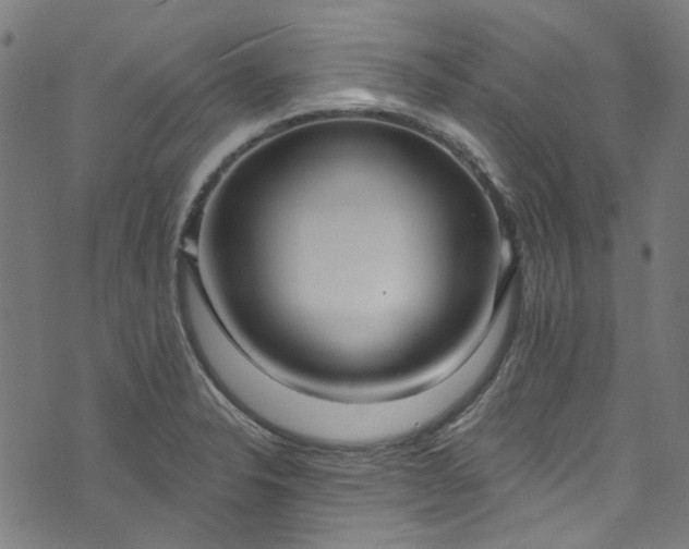 X0000073731326200608171219