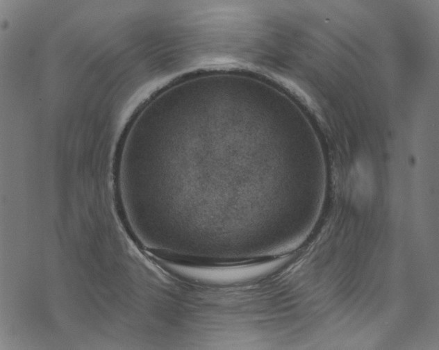 X0000073731327200608171219