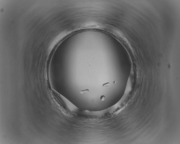 X0000073731328200608171219