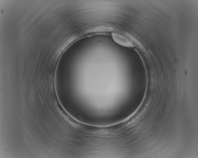 X0000073731329200608171219