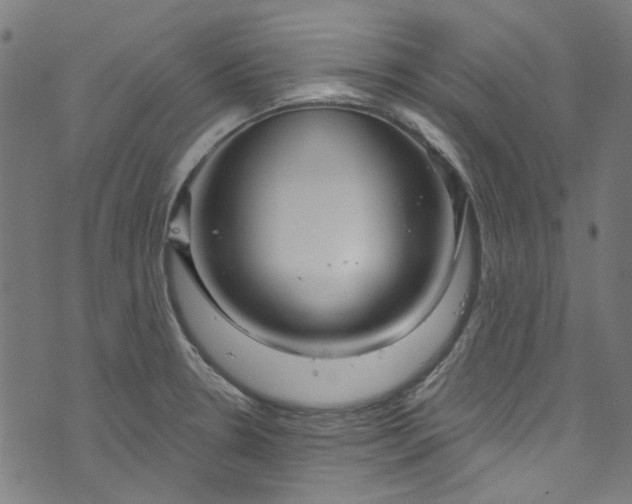 X0000073731330200608171219