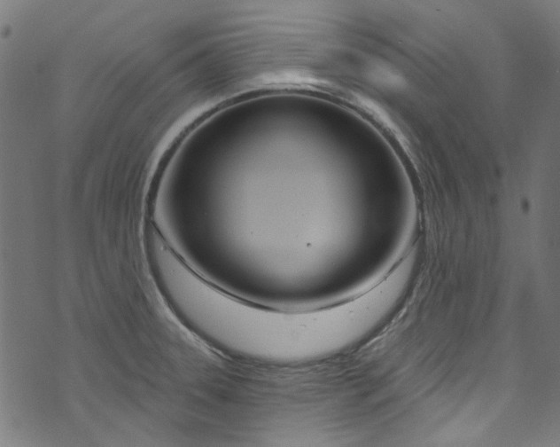 X0000073731331200608171219