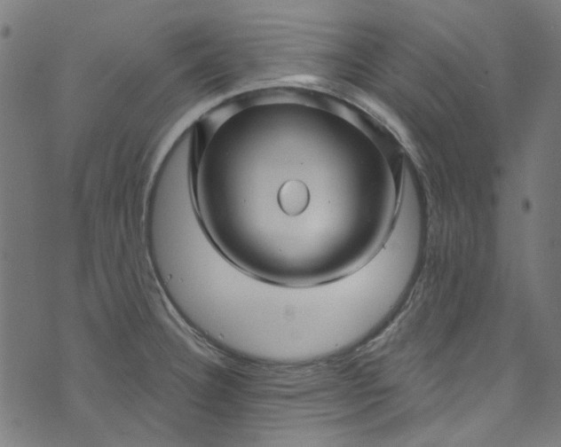 X0000073731332200608171219