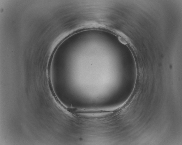 X0000073731335200608171219