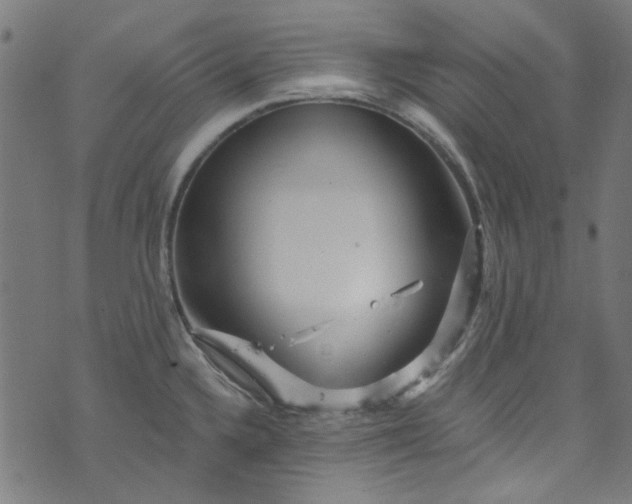 X0000073731336200608171219