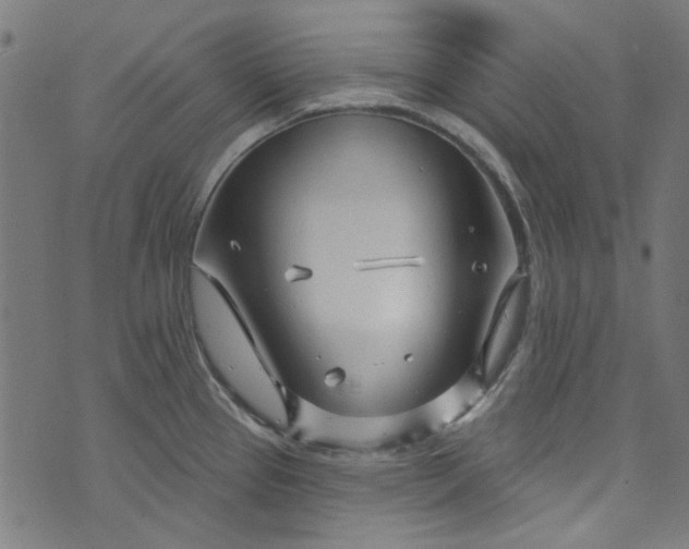 X0000073731337200608171219