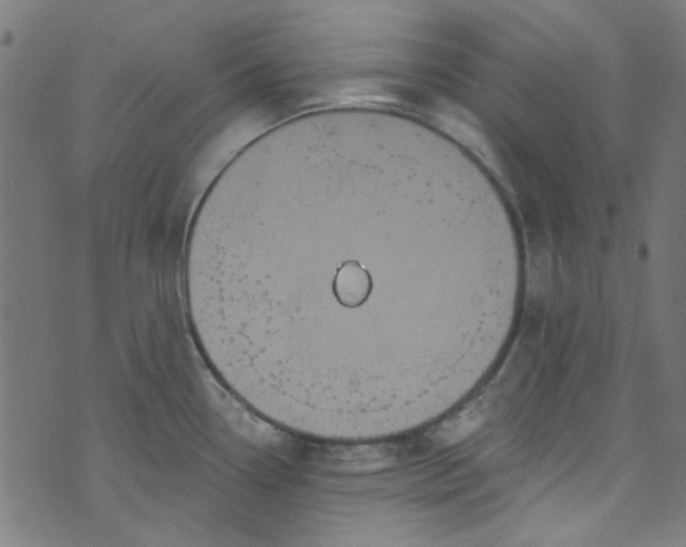 X0000073731338200608171219