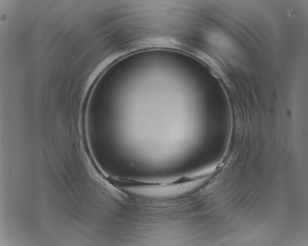 X0000073731339200608171219