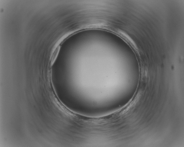 X0000073731340200608171219