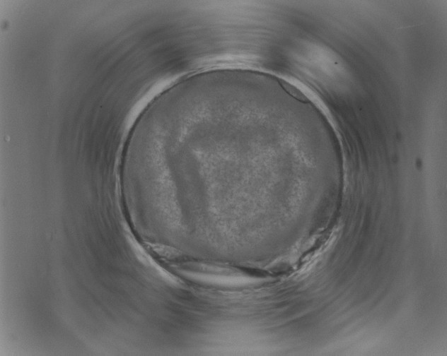 X0000073731341200608171219