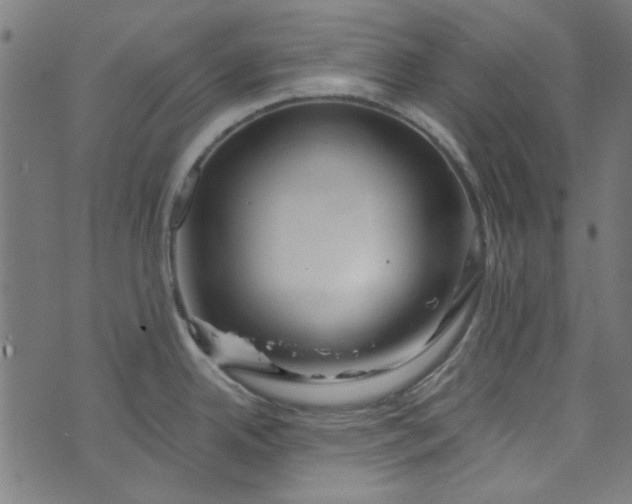 X0000073731342200608171219