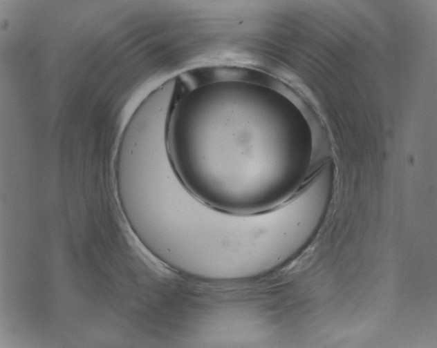 X0000073731344200608171219