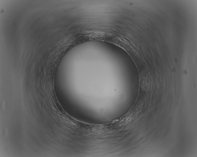 X0000073731345200608171218