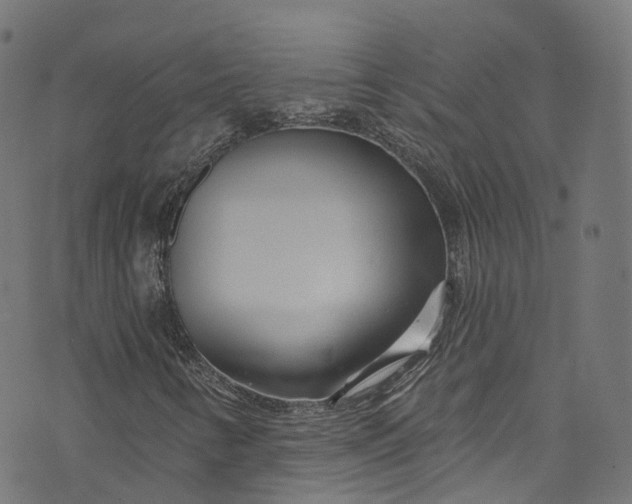 X0000073731346200608171218