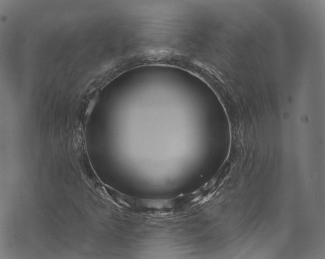 X0000073731349200608171218