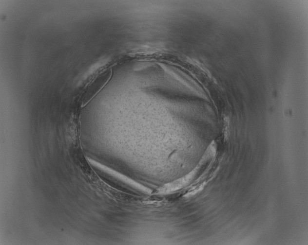 X0000073731350200608171218