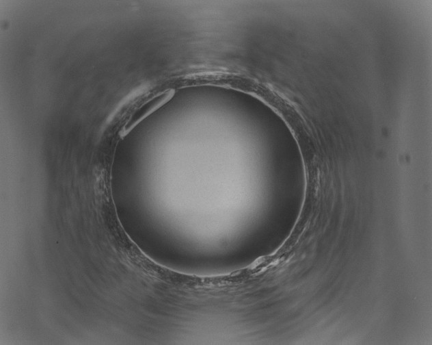 X0000073731351200608171218