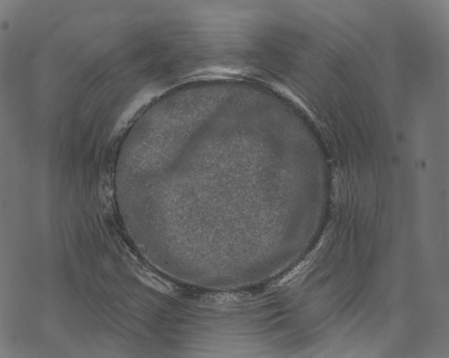 X0000073731355200608171218