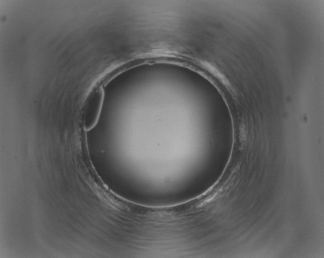 X0000073731356200608171218