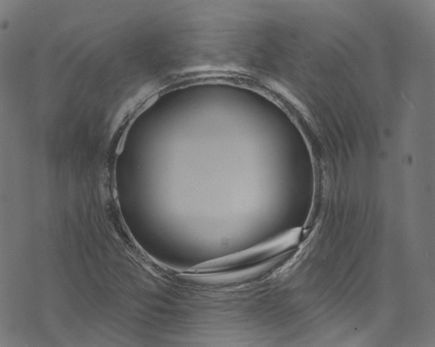 X0000073731357200608171218