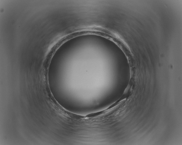 X0000073731360200608171218