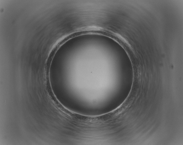 X0000073731364200608171218