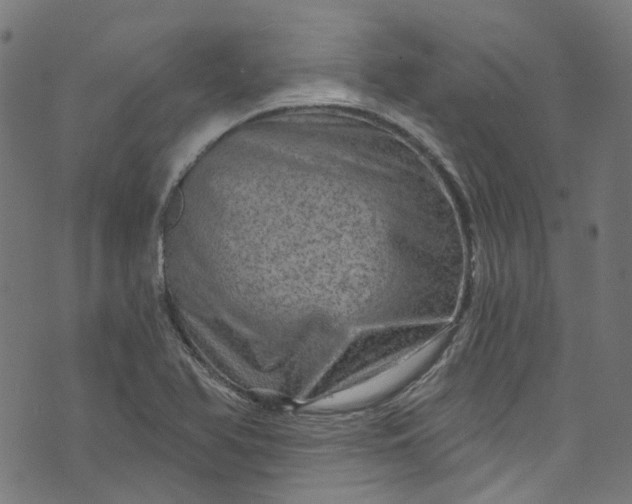 X0000073731366200608171218