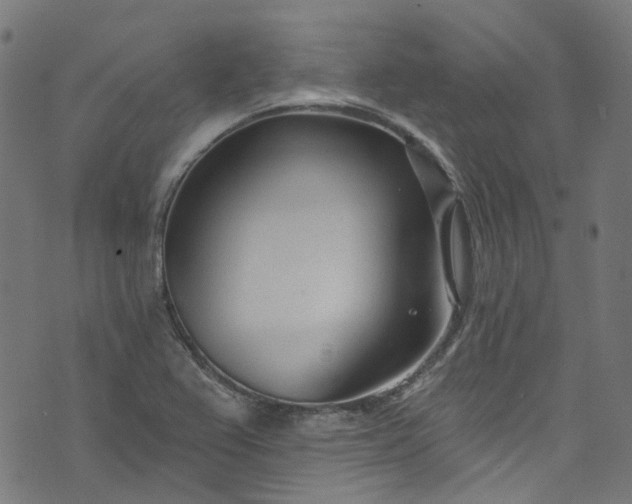 X0000073731367200608171218