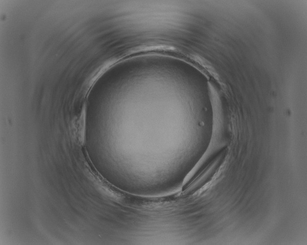 X0000073731369200608171218