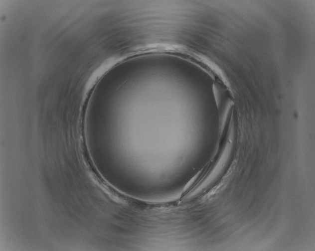 X0000073731373200608171218