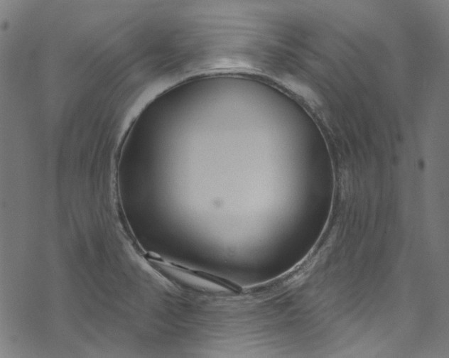 X0000073731374200608171218