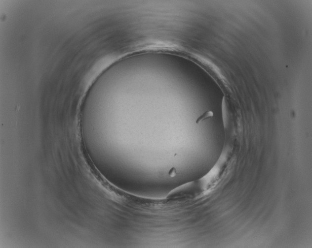 X0000073731375200608171218