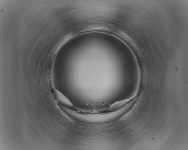 X0000073731377200608171218