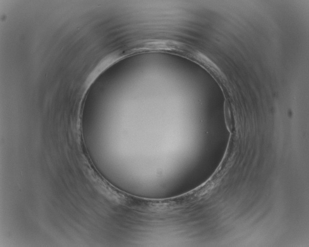 X0000073731378200608171218