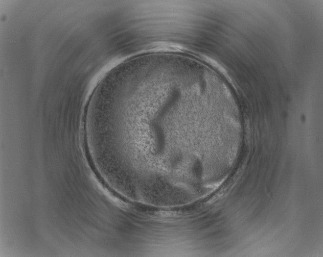 X0000073731379200608171218