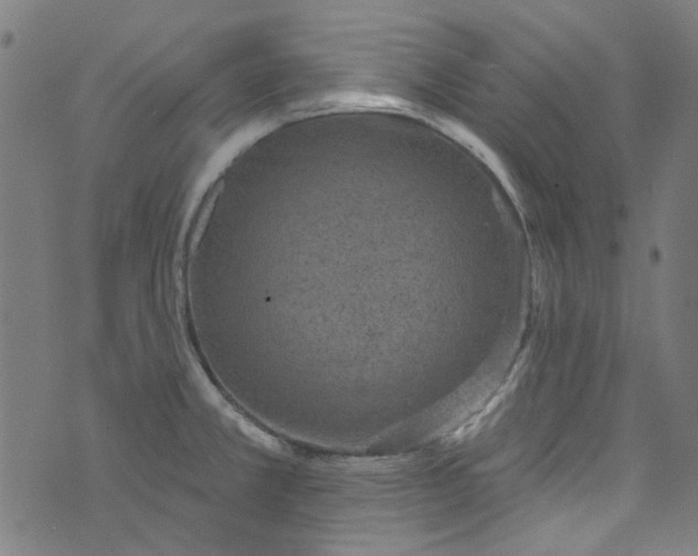 X0000073731381200608171218