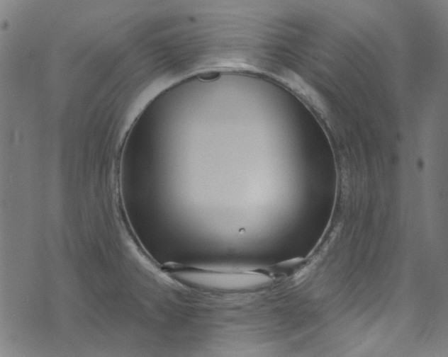 X0000073731382200608171218