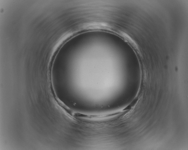 X0000073731384200608171218