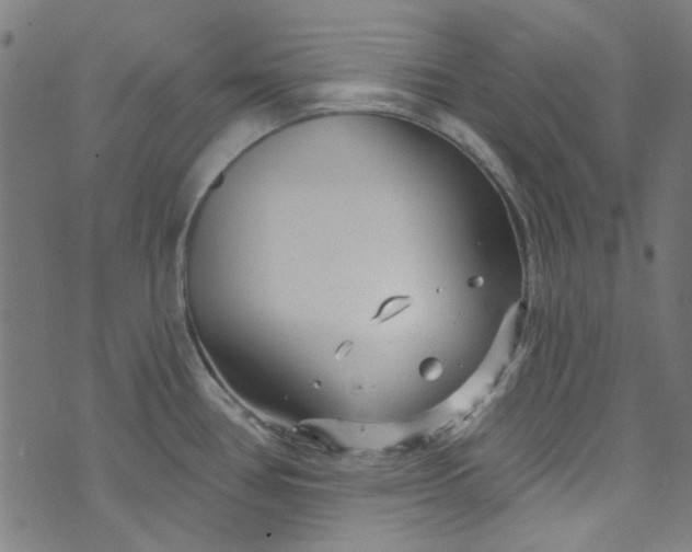 X0000073731386200608171218