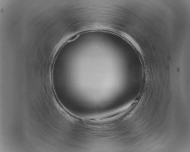 X0000073731388200608171218