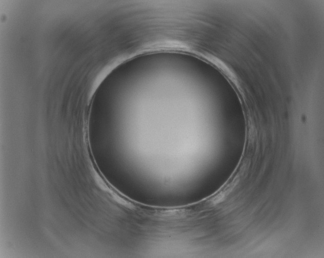 X0000073731390200608171218