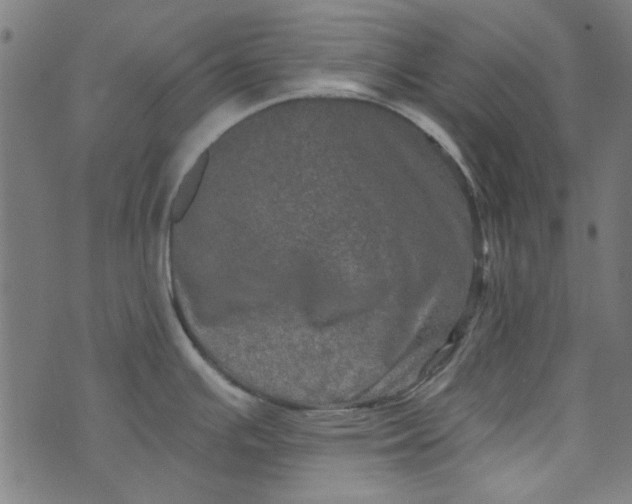 X0000073731391200608171218