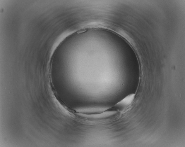 X0000073731392200608171218