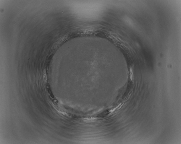 X0000073731395200608171217